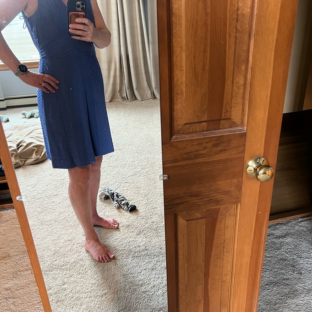 J. Crew Royal Blue Sleeveless Pleated Dress